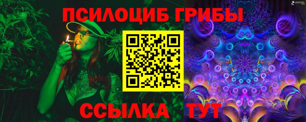 Красноармейск  Галлюциногенные грибы прущие грибы  Вход с VPN 